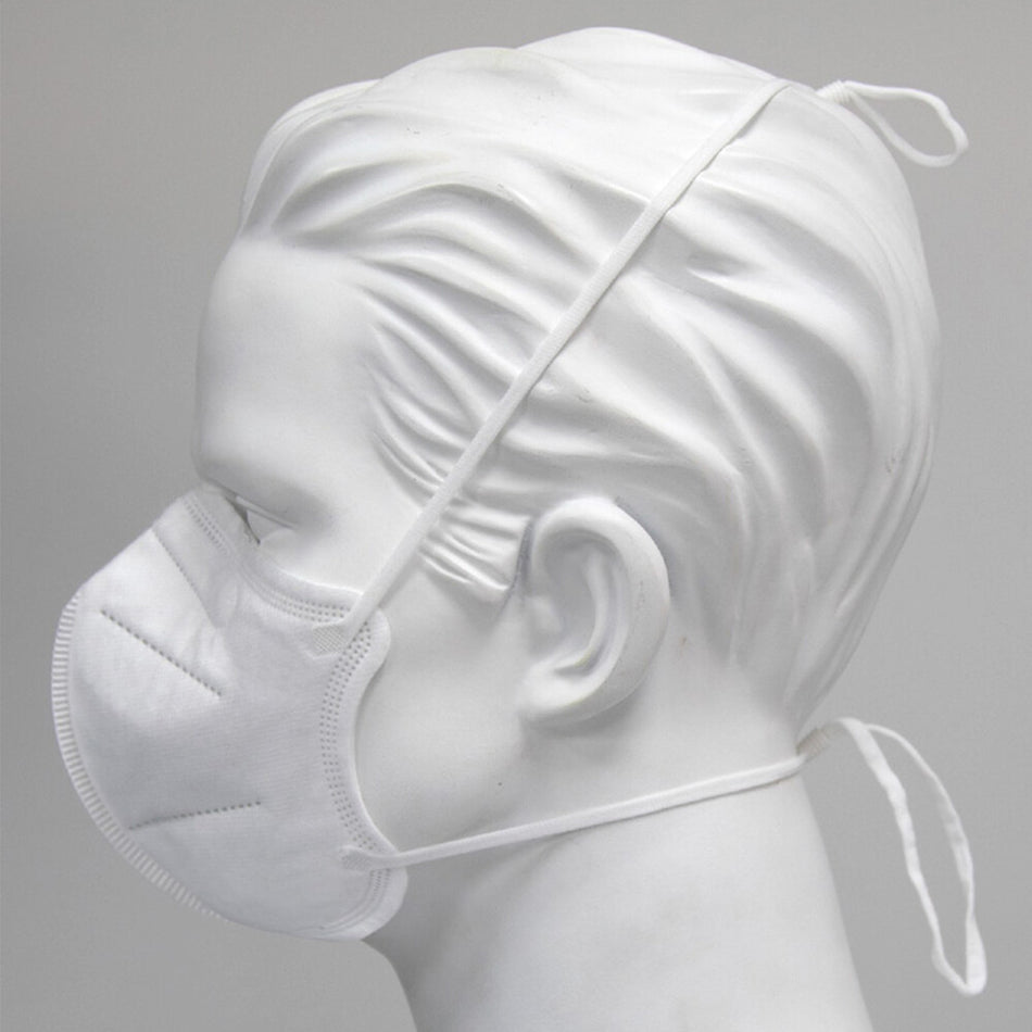 BGW170 Vouwmasker 622  FFP2V/30