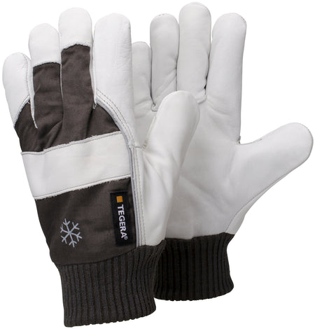 57 TEGERA handschoen mt 10