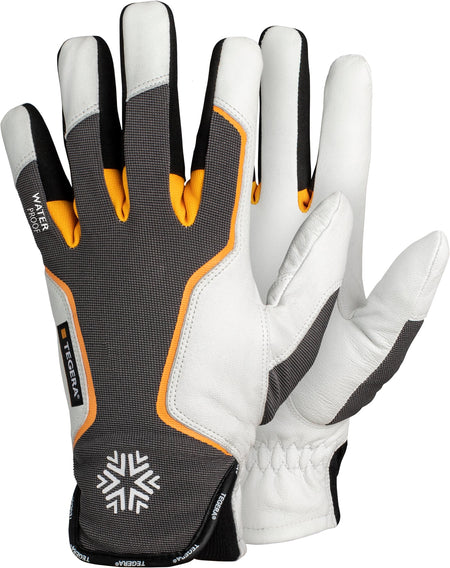 7795 TEGERA lederen handschoen mt 08