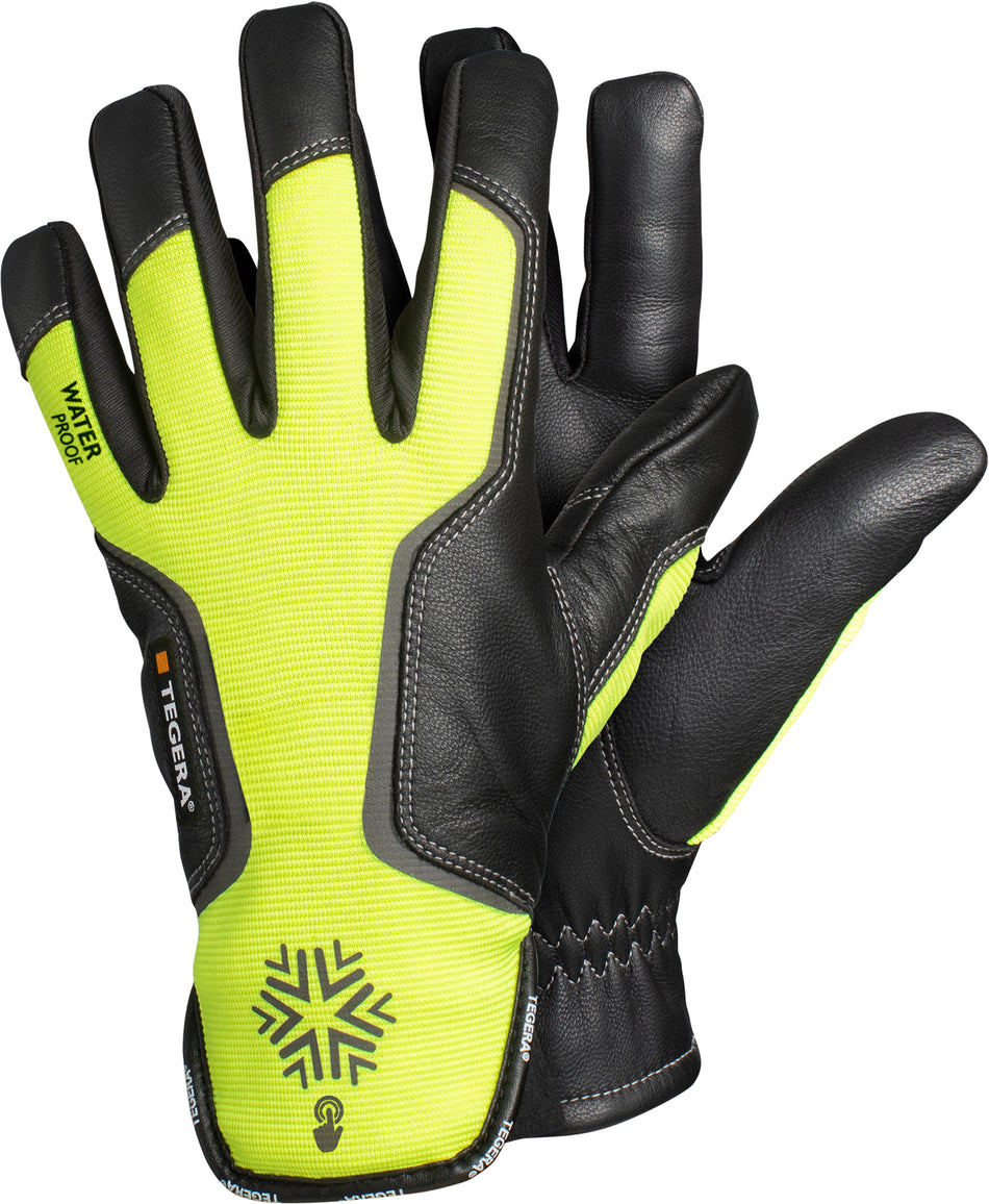7798 TEGERA handschoen mt 08