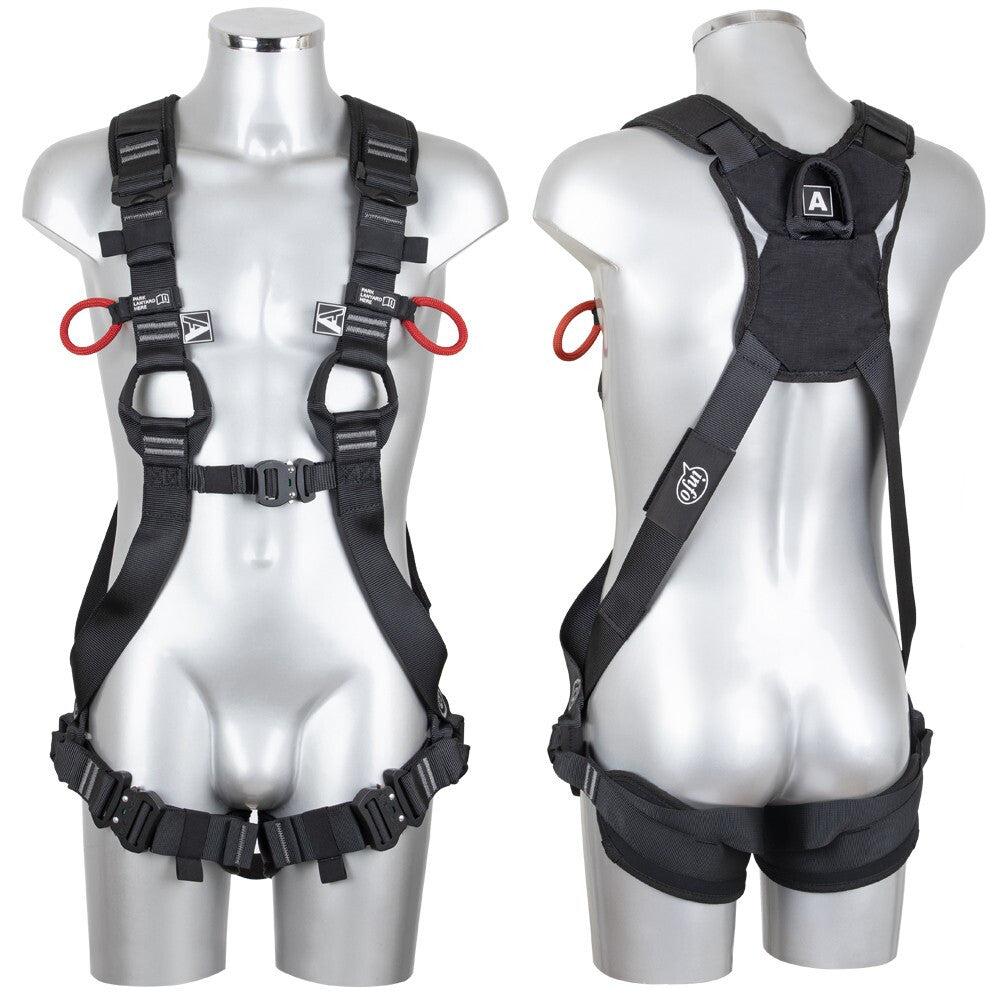 Edge Winx Harnas 3D FP111820M-L